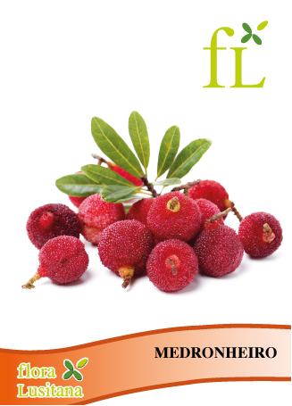 MEDRONHEIRO