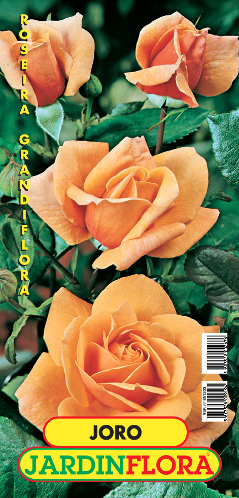 roseira joro s/1