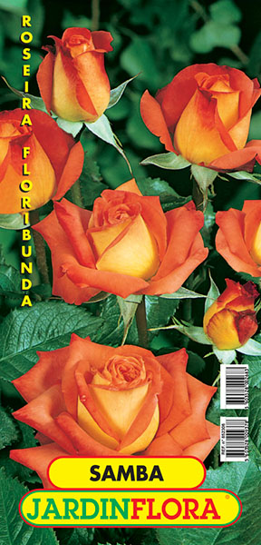 ROSEIRA SAMBA S/1